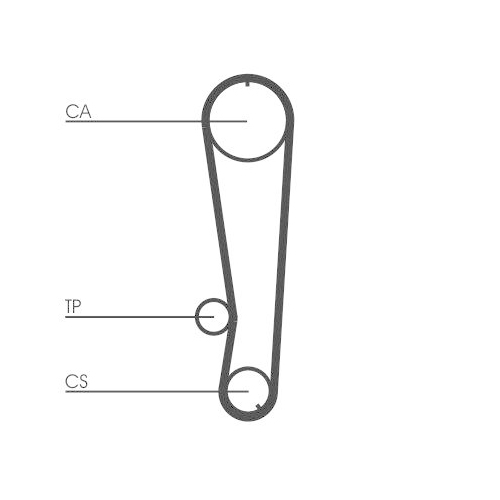 CONTINENTAL CTAM Zahnriemen CT674