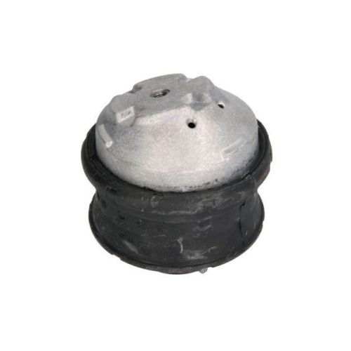 REINHOCH Lagerung, Motor RH11-3012