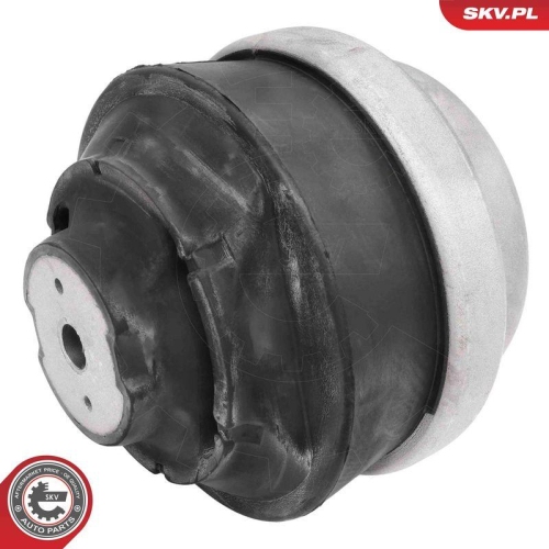 ESEN SKV Lagerung, Motor