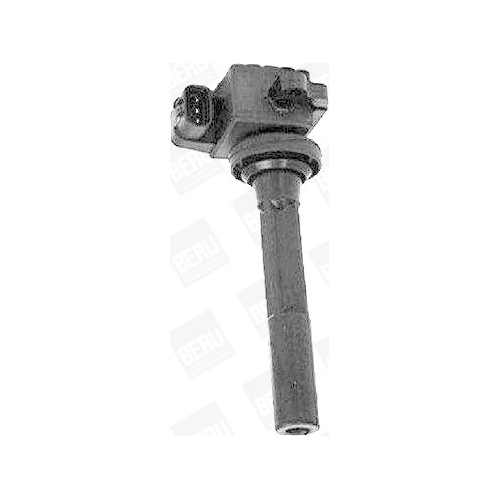 BorgWarner (BERU) Z&uuml;ndspule ZSE160