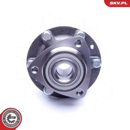 ESEN SKV Radlagersatz 29SKV185