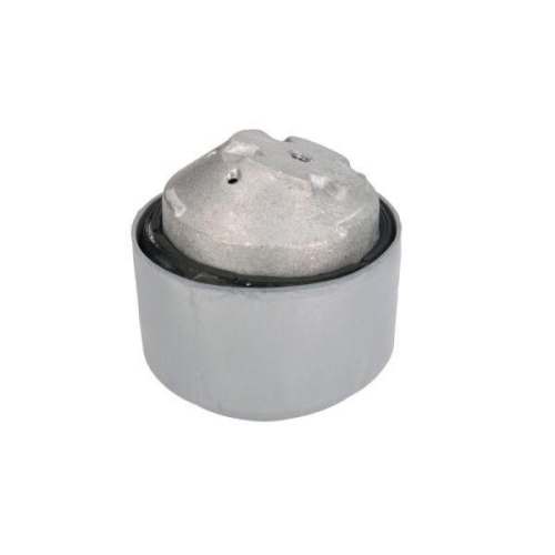 REINHOCH Lagerung, Motor RH11-3044