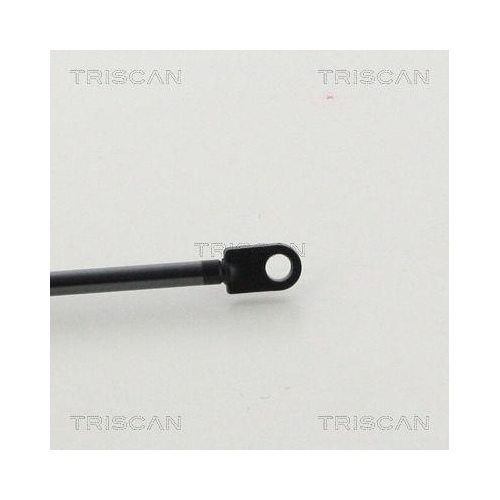 TRISCAN Gasfeder, Motorhaube 8710 11103