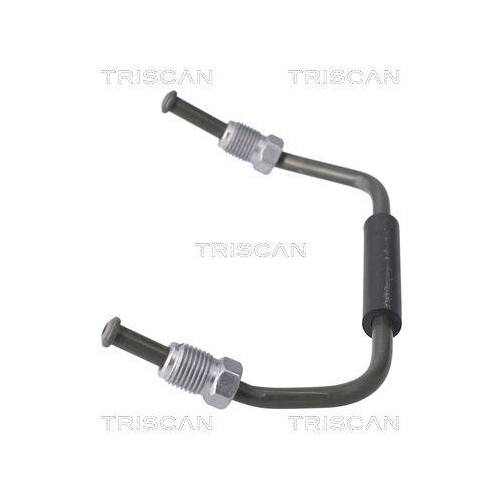 TRISCAN Bremssattel 8175 8102