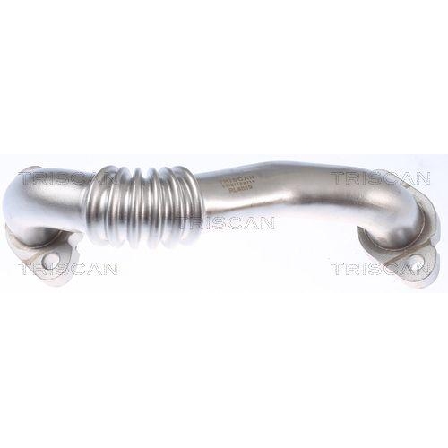 TRISCAN Rohrleitung, AGR-Ventil 8811 29108
