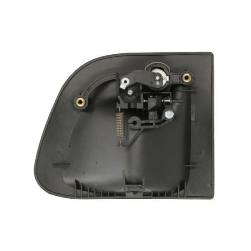 PACOL T&uuml;rau&szlig;engriff RVI-DH-001R