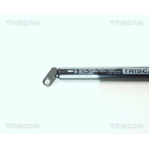 TRISCAN Gasfeder, Koffer-/Laderaum 8710 11207
