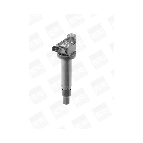 BorgWarner (BERU) Z&uuml;ndspule ZSE173