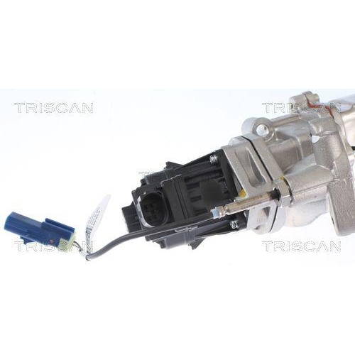 TRISCAN AGR-Ventil 8813 15001