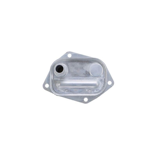 HELLA &Ouml;lk&uuml;hler, Motor&ouml;l 8MO 366 360-241