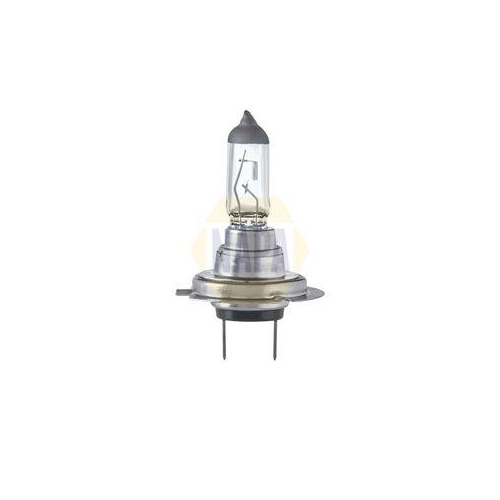 NAPA Gl&uuml;hlampe, Abbiegescheinwerfer NAPA NBU1477