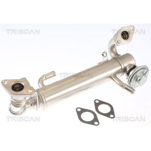 TRISCAN AGR-Ventil 8813 15074