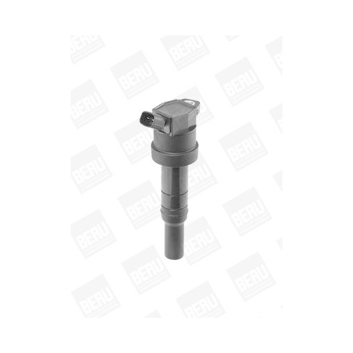 BorgWarner (BERU) Z&uuml;ndspule ZS478