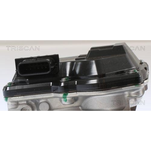 TRISCAN AGR-Ventil 8813 16002