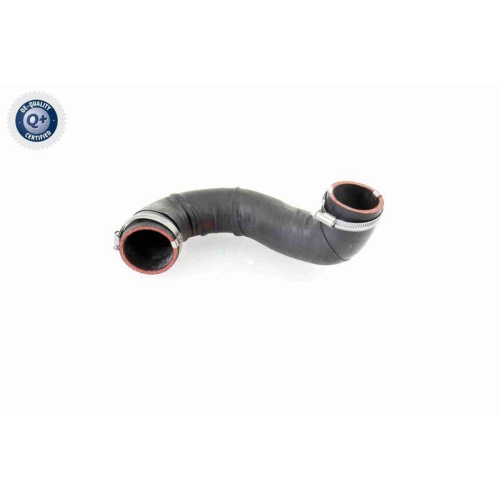 VAICO Ladeluftschlauch Q+, Erstausrüsterqualität