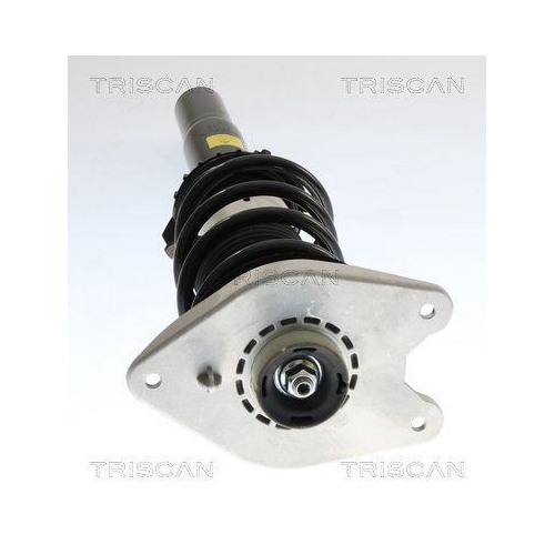 TRISCAN Stoßdämpfer 8705 11112