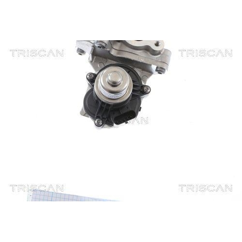 TRISCAN AGR-Ventil 8813 16005