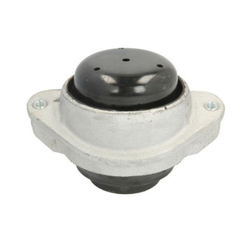 REINHOCH Lagerung, Motor RH11-3056