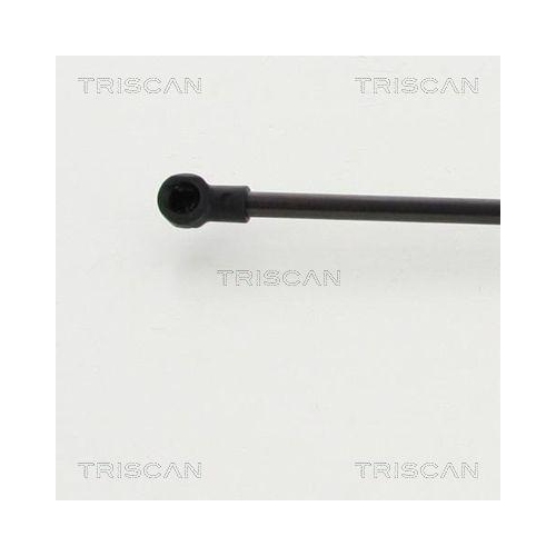 TRISCAN Gasfeder, Koffer-/Laderaum 8710 13284