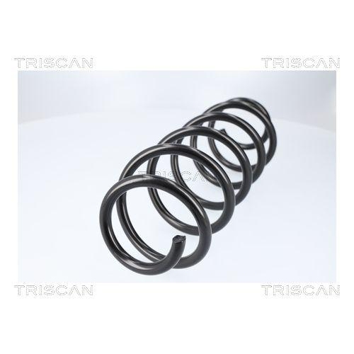 TRISCAN Fahrwerksfeder 8750 13257