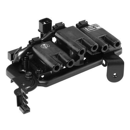 BorgWarner (BERU) Z&uuml;ndspule ZS485