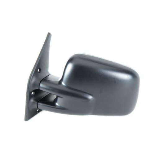 BLIC Außenspiegel 5402-04-1125981P