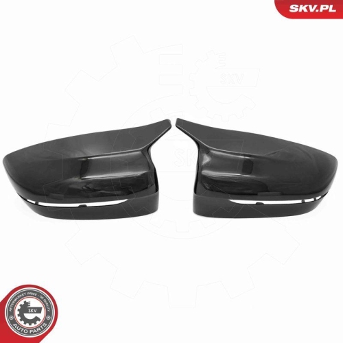 ESEN SKV Abdeckung, Außenspiegel