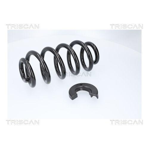 TRISCAN Fahrwerksfeder 8750 29577