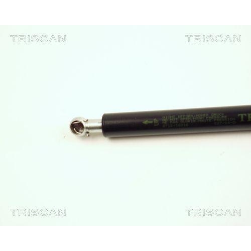 TRISCAN Gasfeder, Koffer-/Laderaum 8710 16216