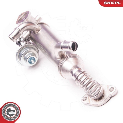 ESEN SKV AGR-Ventil 14SKV119