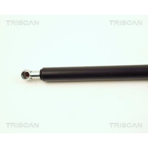 TRISCAN Gasfeder, Koffer-/Laderaum 8710 16217