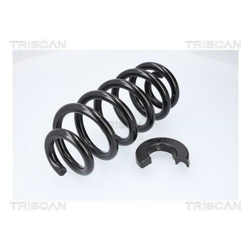 TRISCAN Fahrwerksfeder 8750 29578