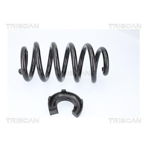 TRISCAN Fahrwerksfeder 8750 29579