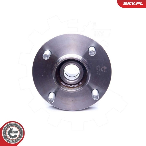 ESEN SKV Radlagersatz 29SKV211