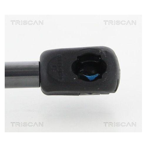 TRISCAN Gasfeder, Koffer-/Laderaum 8710 16269