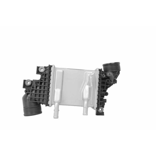 HELLA Ladeluftk&uuml;hler 8ML 366 340-731