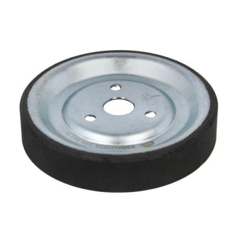 BTA Riemenscheibe, Wasserpumpe E6B0030BTA
