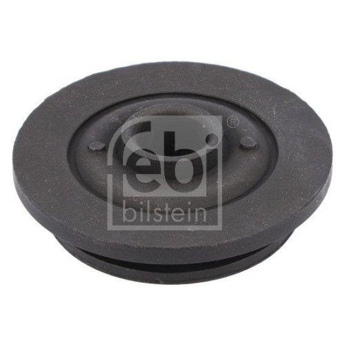 FEBI BILSTEIN Lagerung, K&uuml;hler febi Plus 184381