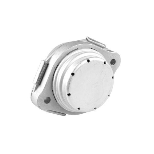 TEDGUM Lagerung, Motor 00088521