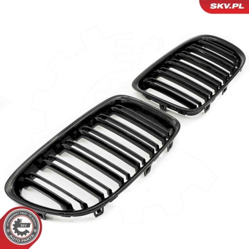 ESEN SKV Kühlergitter