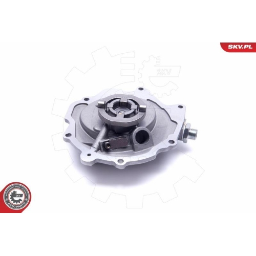 ESEN SKV Unterdruckpumpe, Bremsanlage