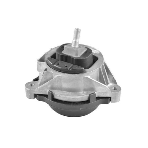 TEDGUM Lagerung, Motor