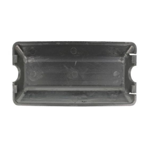 PACOL Abdeckung, Au&szlig;enspiegel RVI-MR-016