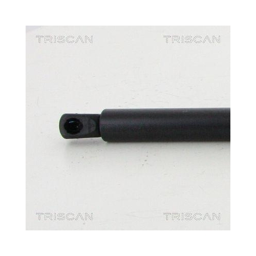 TRISCAN Gasfeder, Koffer-/Laderaum 8710 23249