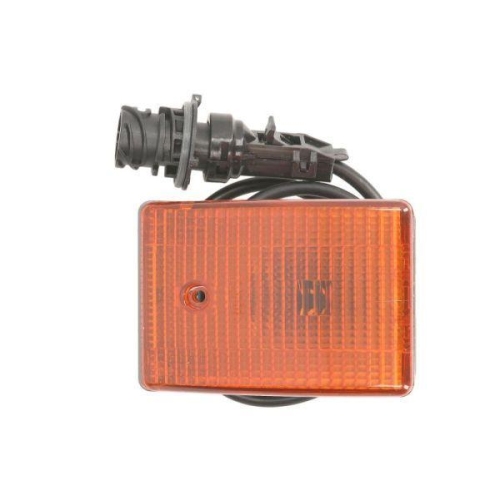 TRUCKLIGHT Blinkleuchte CL-ME002