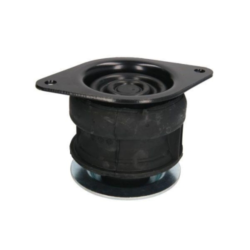 REINHOCH Lagerung, Motor RH11-0057