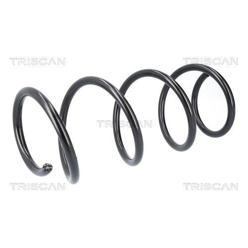 TRISCAN Fahrwerksfeder 8750 13256