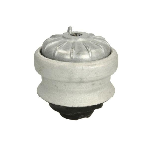 REINHOCH Lagerung, Motor RH11-3000