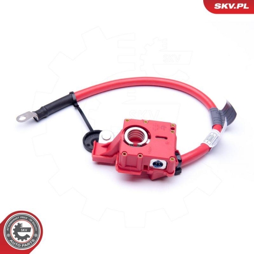 ESEN SKV Batterieadapter 96SKV302