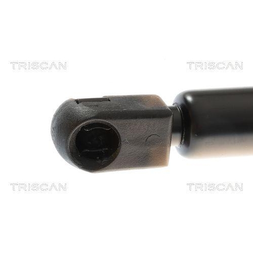 TRISCAN Gasfeder, Koffer-/Laderaum 8710 25220